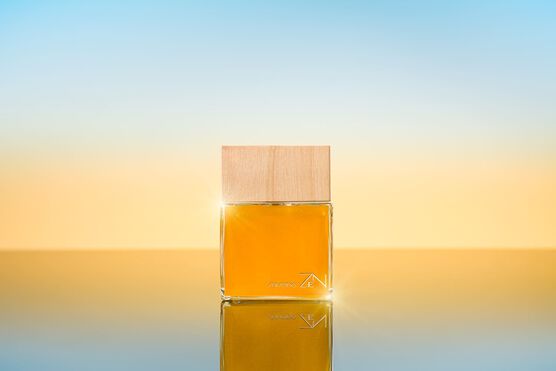 ZEN SHISEIDO EAU DE PARFUM ED. LIMITADA - PERFUME FEMININO 100ML